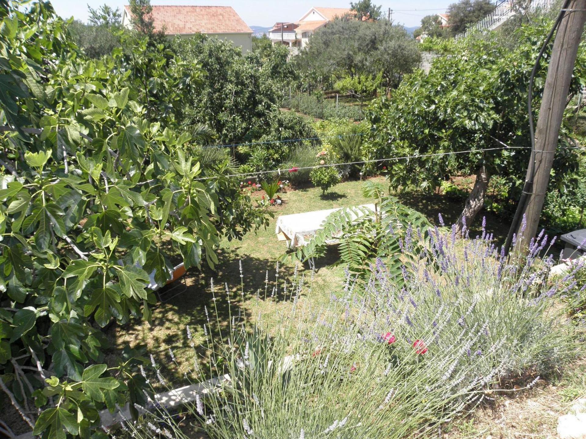 Apartments Zvone - 100 M From Sea Bibinje Dış mekan fotoğraf